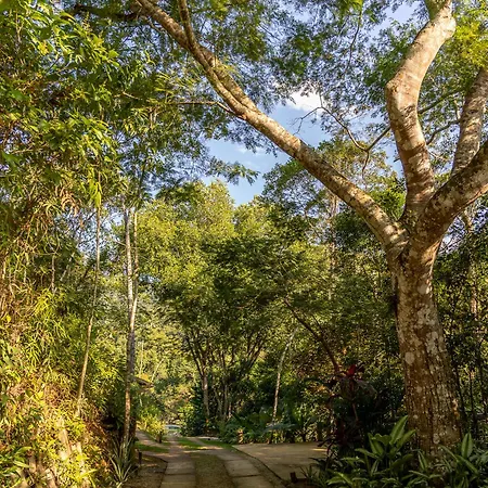 La Luciole Ecolodge-3